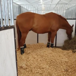 Horse Bedding Shavings