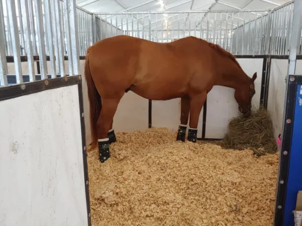 Horse Bedding Shavings